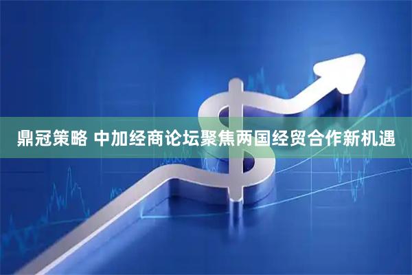 鼎冠策略 中加经商论坛聚焦两国经贸合作新机遇
